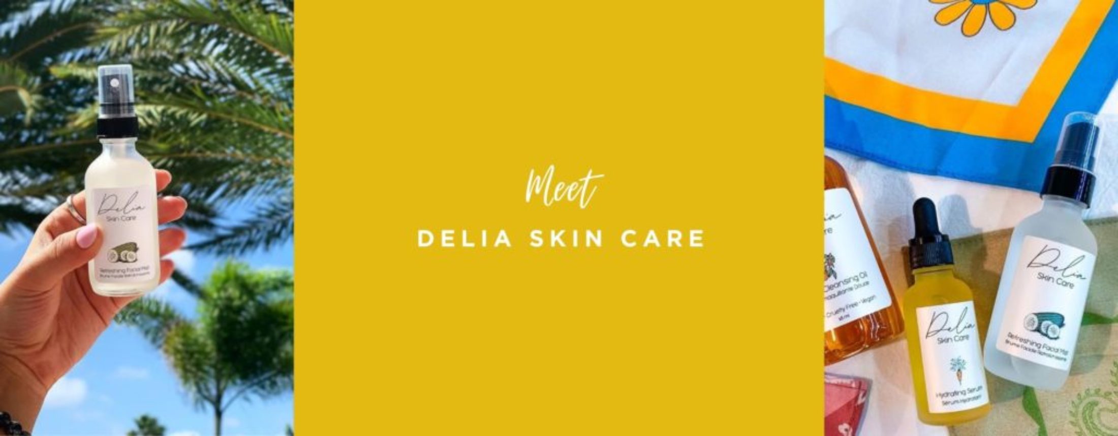 Meet Delia Skin Care banner