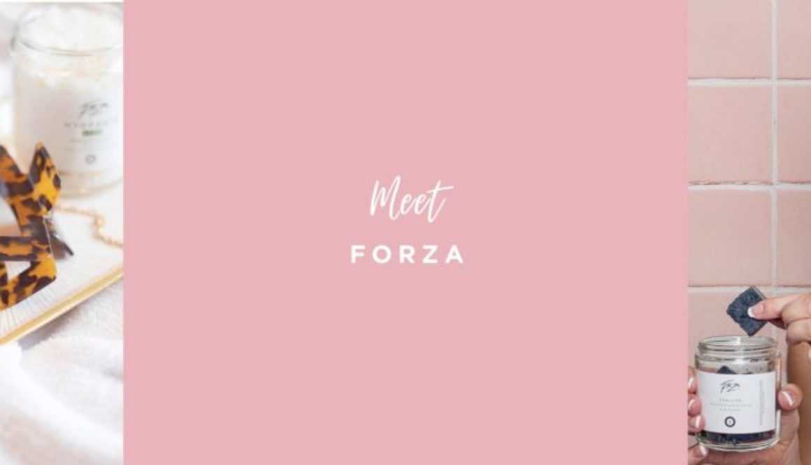 Meet Forza Blog Banner