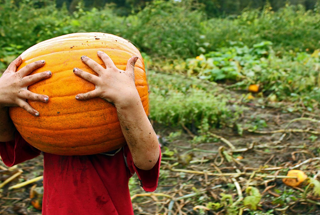 pumpkin-hands