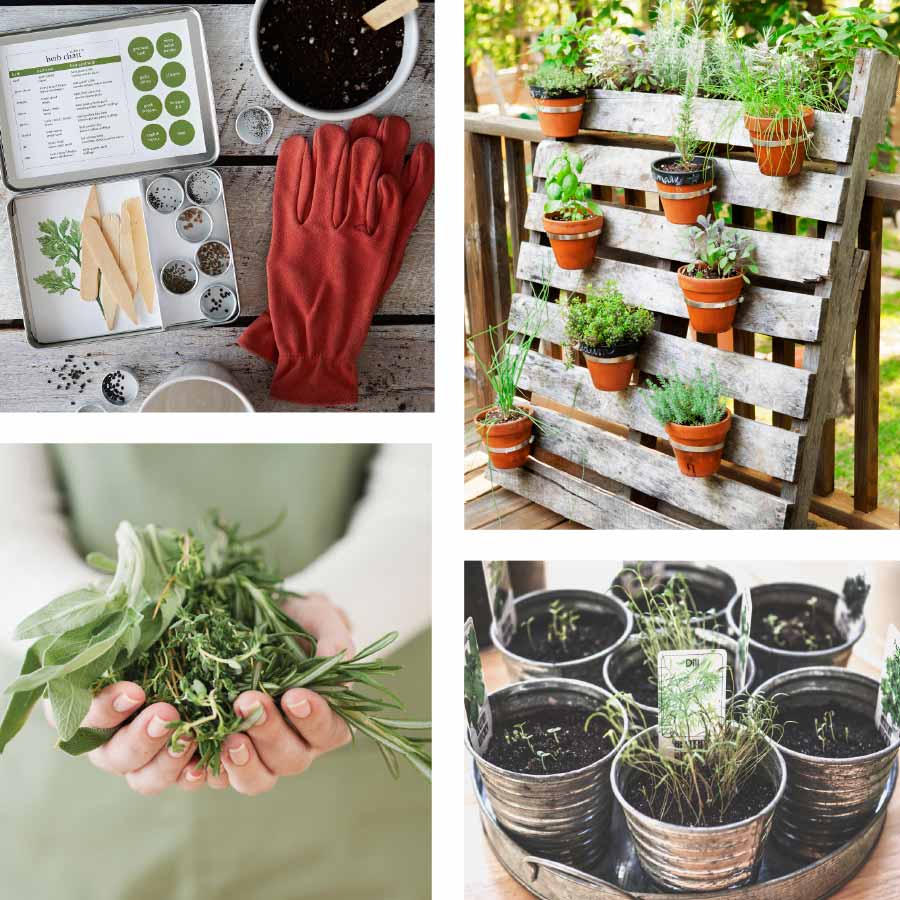 DIY Herb Gardens