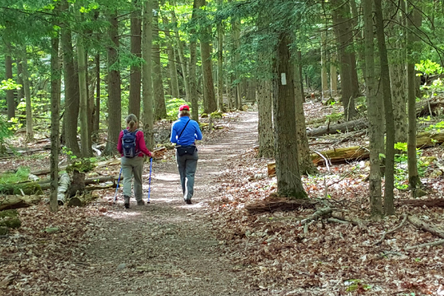 Hiking Halton