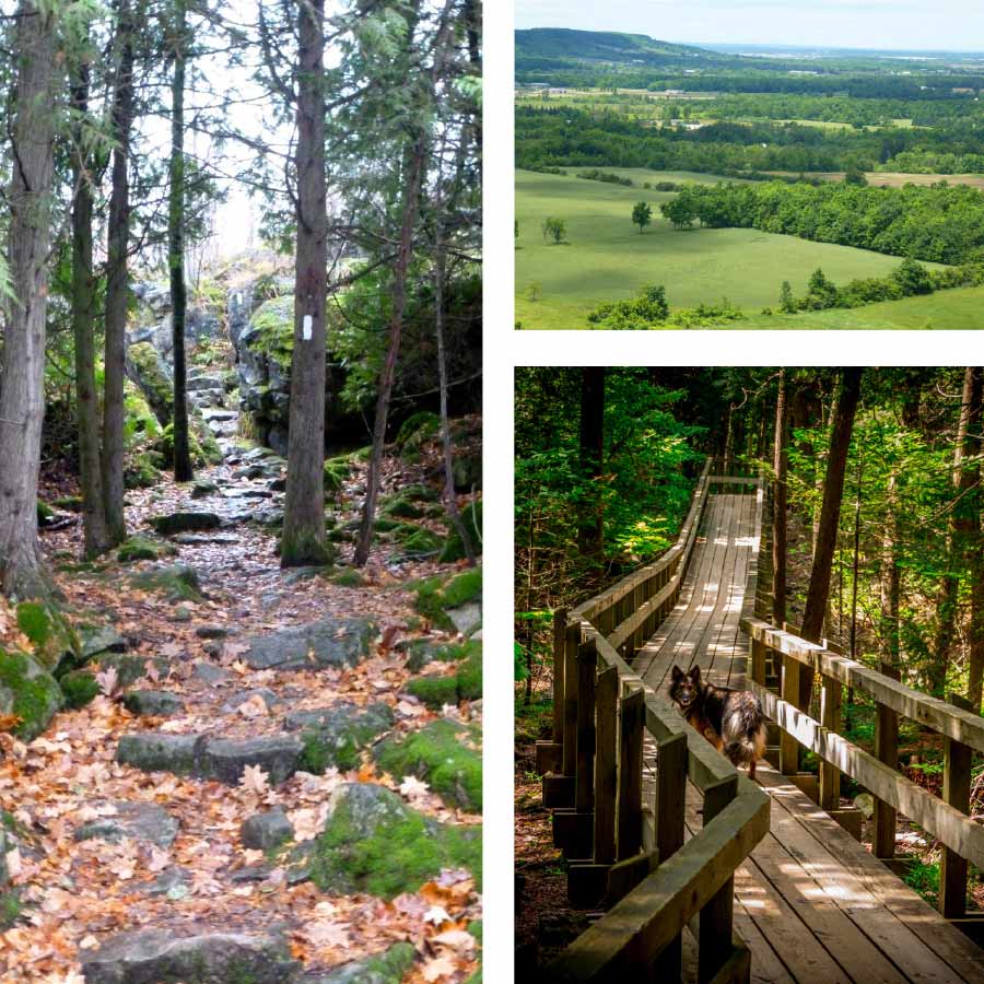 As You Hike It. Hiking Trails in Halton - Oakville and Burlington - Look  Local Magazine