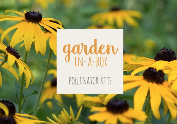 Garden in a Box from Conservation Halton