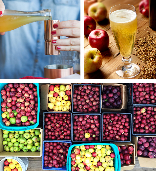 Ontario's Craft Cider