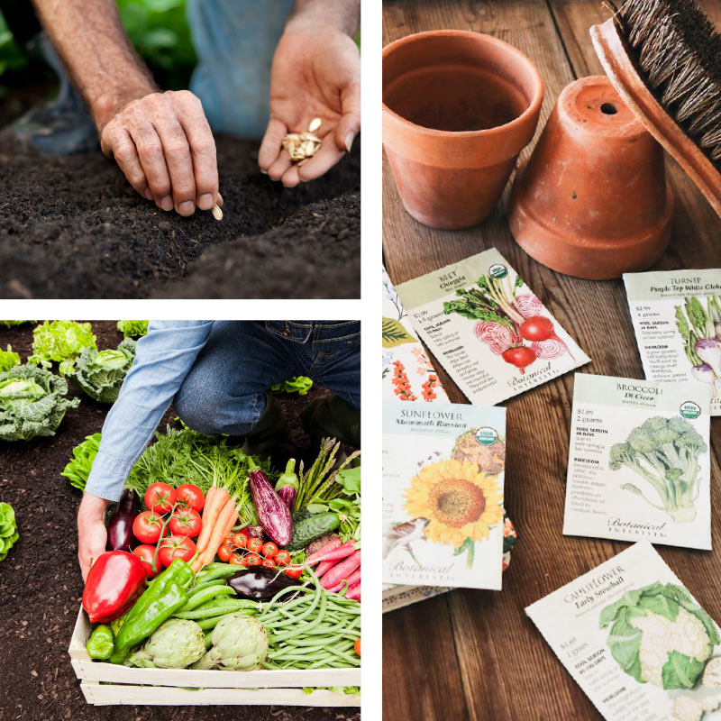 Seed Library