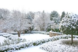 oakville winter garden