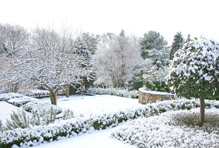 oakville winter garden