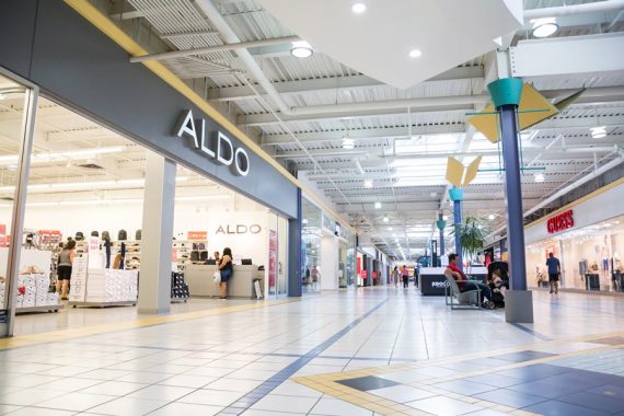 aldo