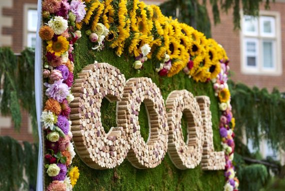 Chardonnay Celebration