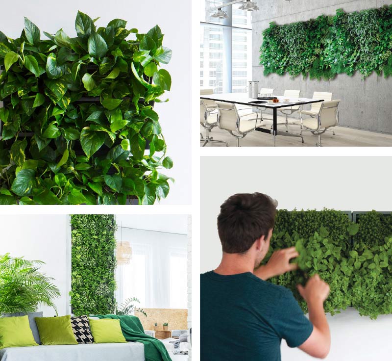 Living Walls