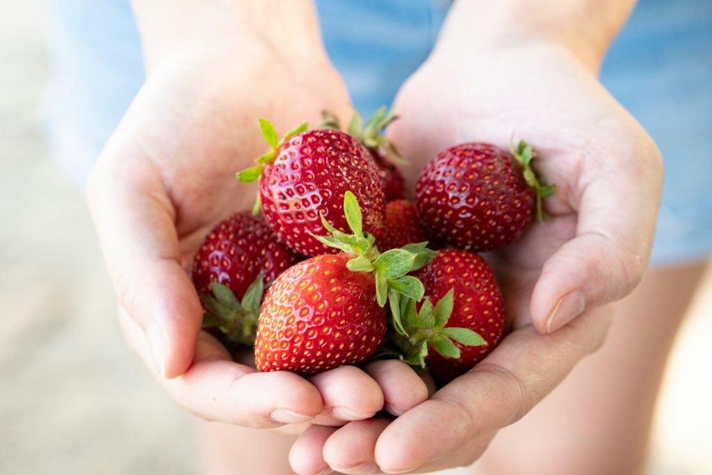It’s Prime Strawberry Season in Oakville/Burlington