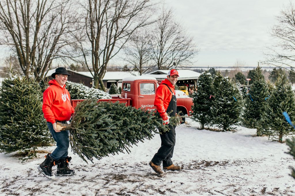 Oh Christmas Tree: This Season’s Guide to all the Trimmings
