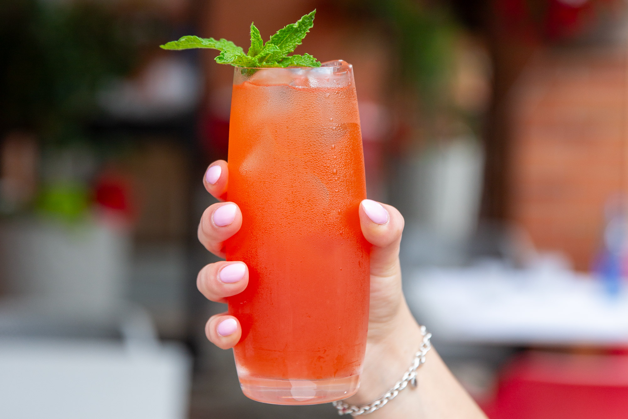 verace-cocktail-oakville