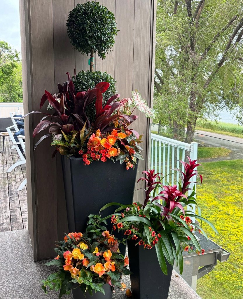 Seasonal Planters