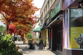 Local Shopping Kerr Village Oakville