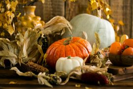 Thanksgiving