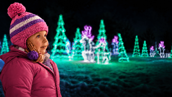 Burlington Festival of Lights